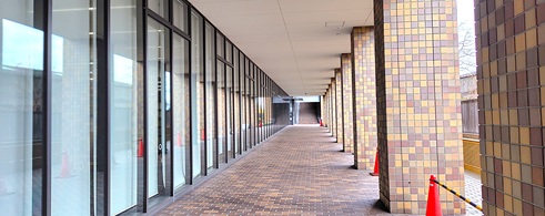 �֐���w�������C�O�U���c�������ʐ^