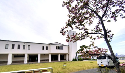 �C�O�U���c�������B�e�ʐ^