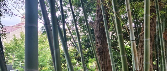 関西学院初等部イグザム幼児教室撮影写真