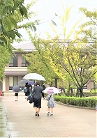 同志社小学校イグザム幼児教室撮影写真