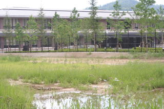 同志社小学校遠景