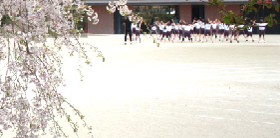 同志社小学校イグザム幼児教室撮影写真