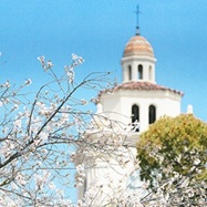 イグザム幼児教室撮影写真