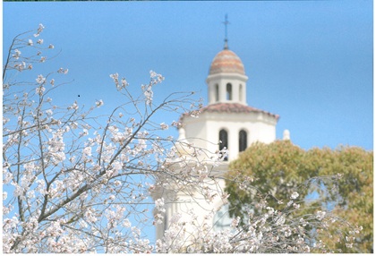 イグザム幼児教室撮影写真
