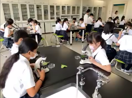 関西大学初等部作成バナー